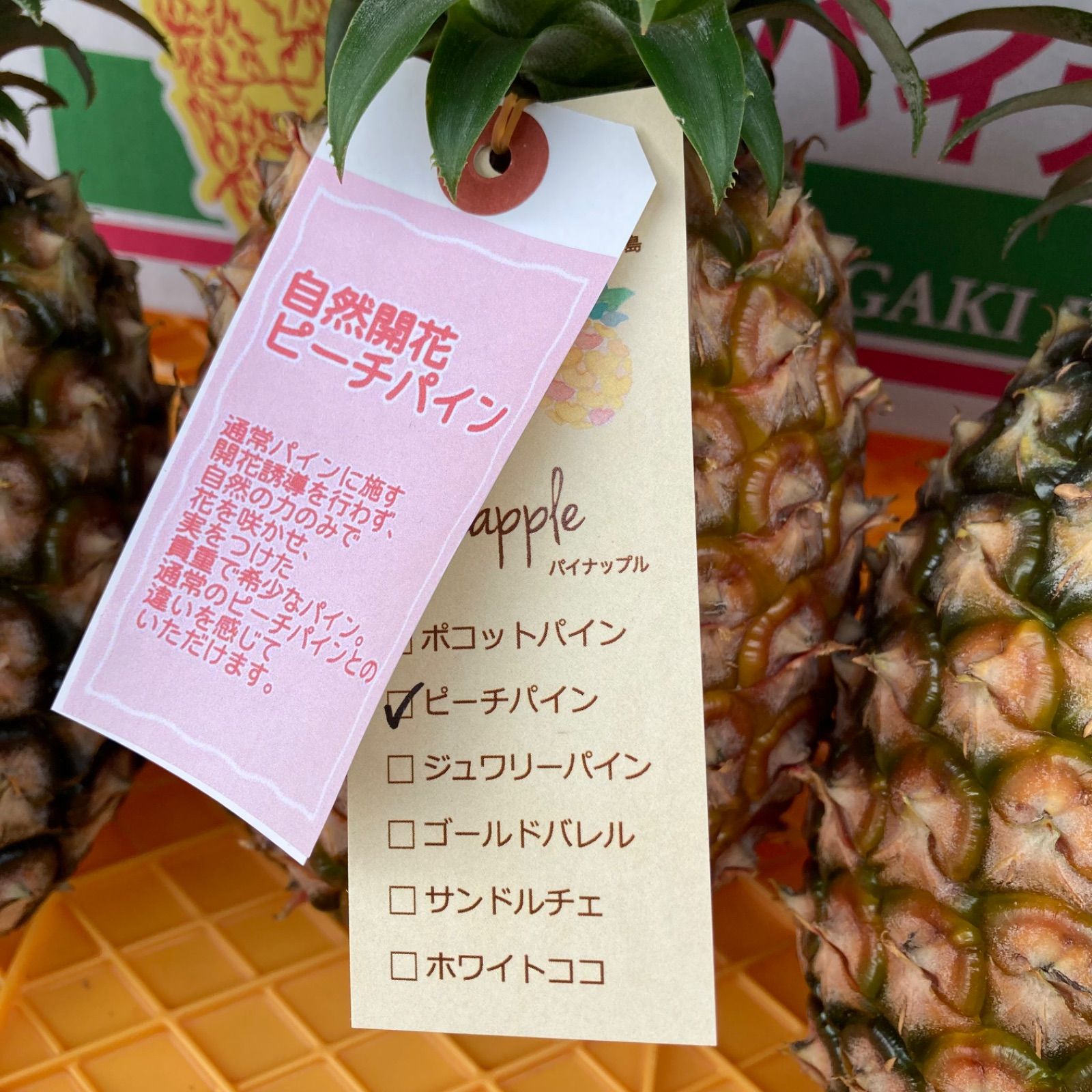 CUTE メルカリ便送料込♪稀少品♪パイナップル　ブックスタンド　1個 沖縄限定 パイナップル [17cm] S ぬいぐるみ パインちゃん 置物