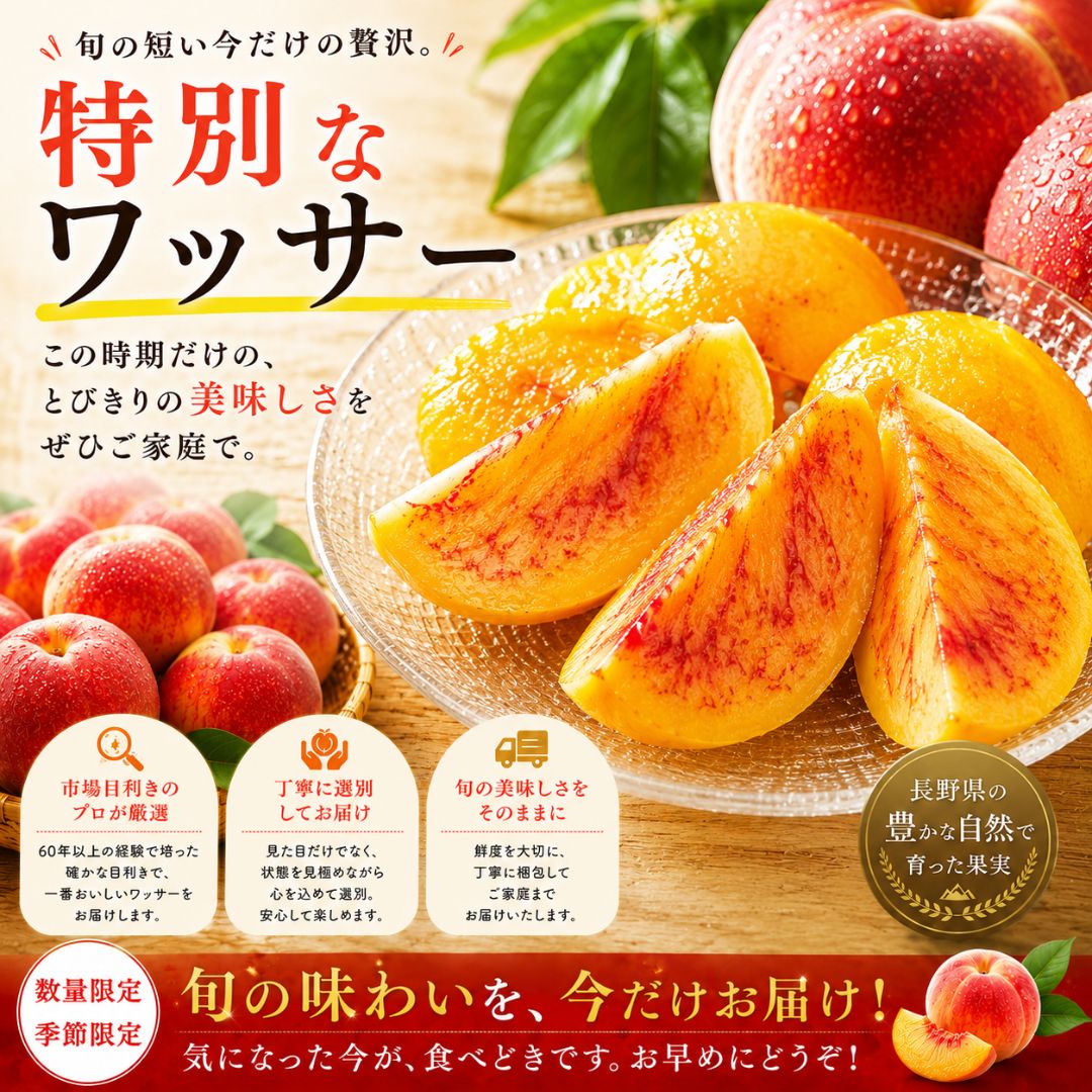 食品 長野産ワッサー加工用ミニ10キロ