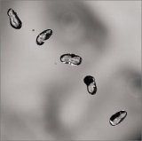 【CD】Up