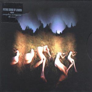 【CD】Amorphous Androgynous - The Isness