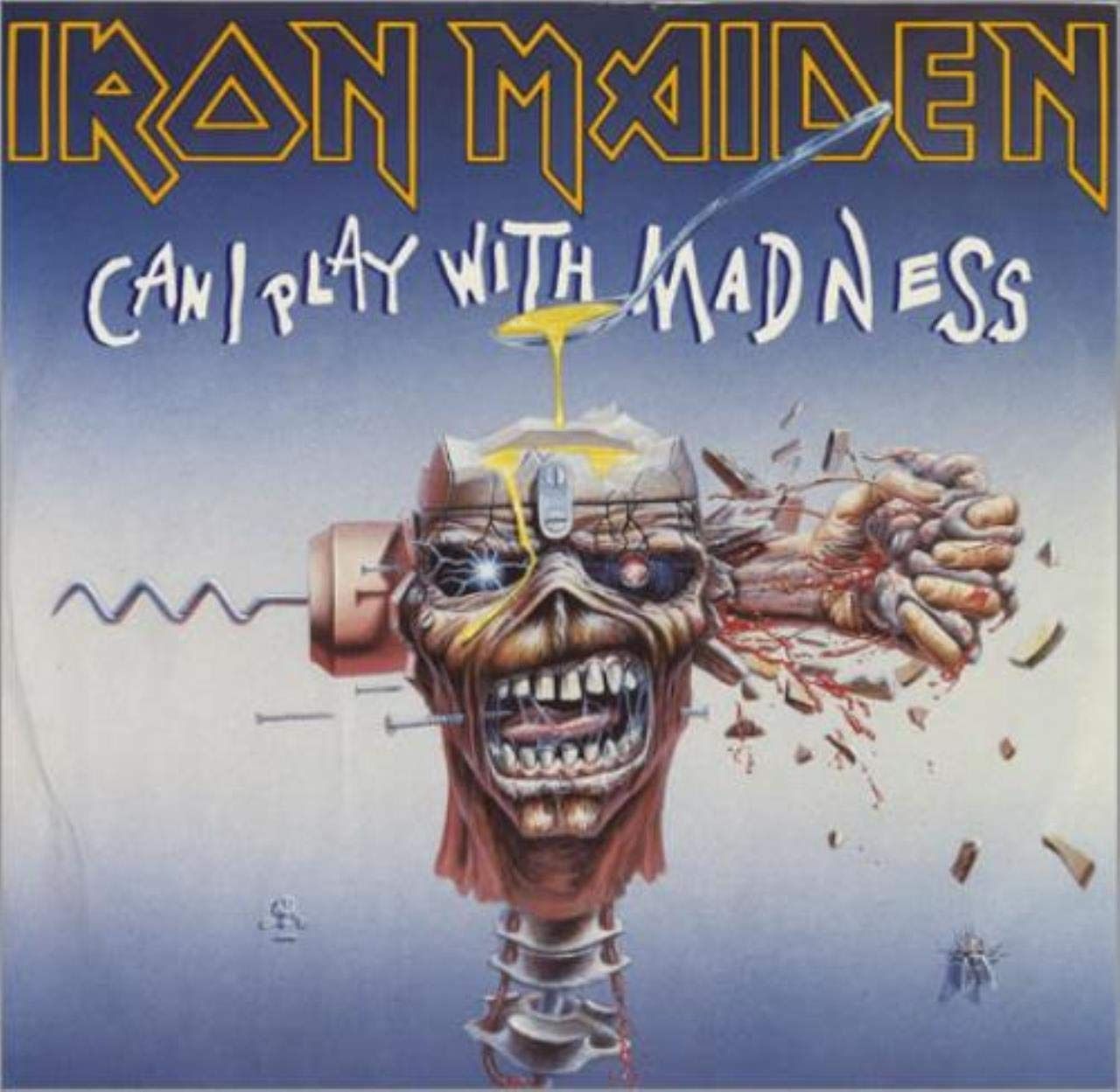 【CD】Can I Play With Madness - Mislabelled