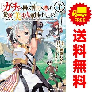 ガチャを回して仲間を増やす 1～13巻 までの全巻セット ライドコミックス 晴野しゅー マイクロマガジン社（青年コミック）