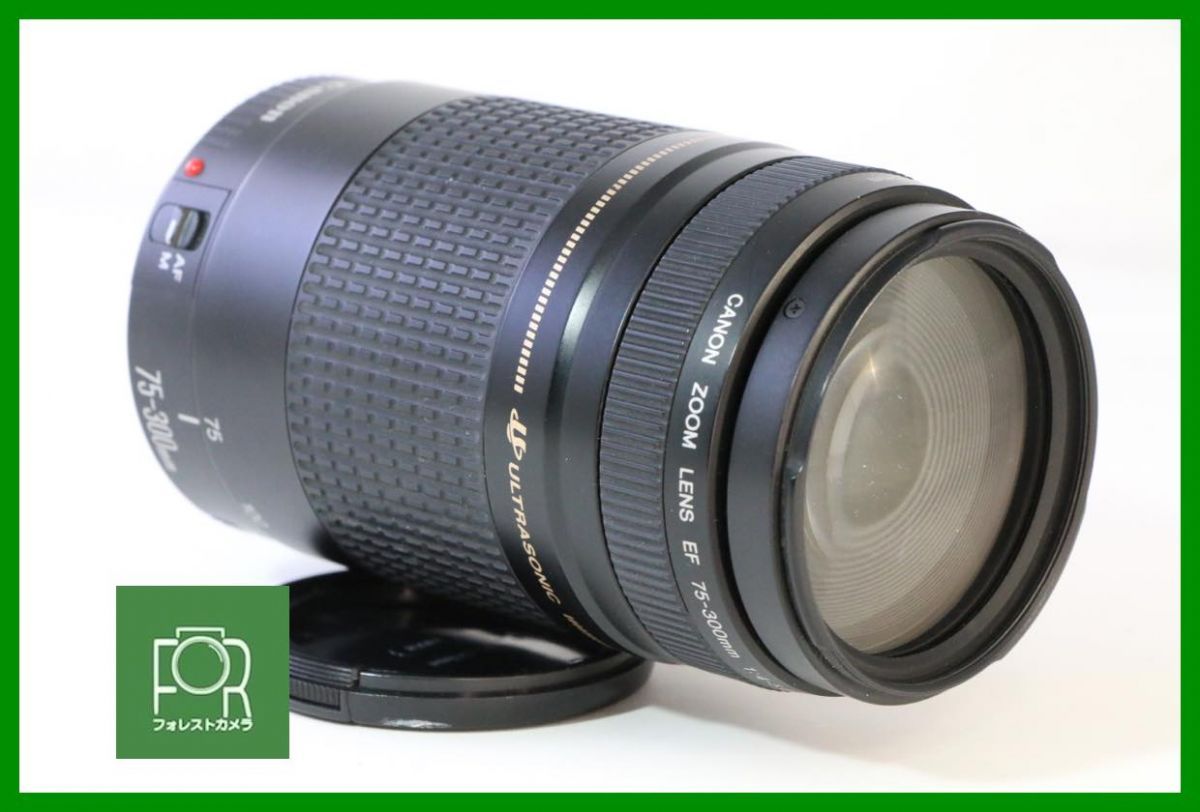 【動作保証・点検済】良品■CANON EF 75-300mm F4-5.6 II■AH608