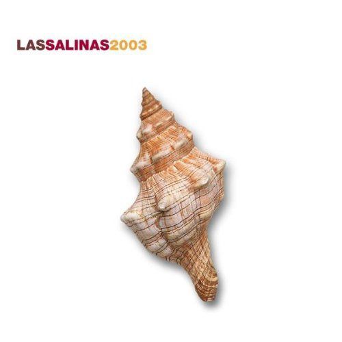 【CD】Las Salinas 2003