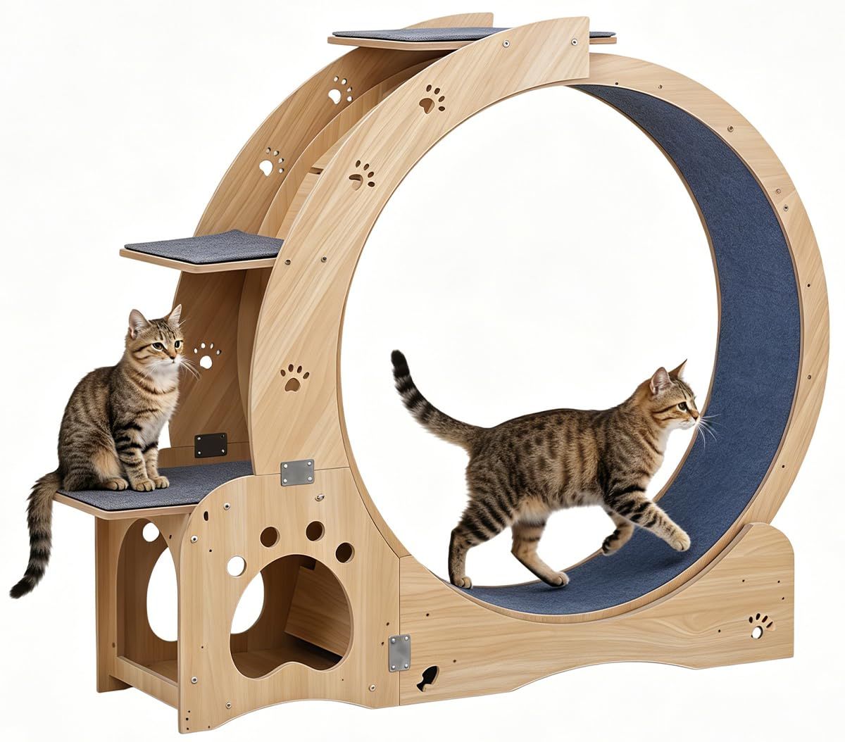 SIRUNLY キャットホイール 大型 直径90cm 猫 回し車 踏み台付き 静音 運動不足解消 猫用おもちゃ 111.5*34.5*111.5cm