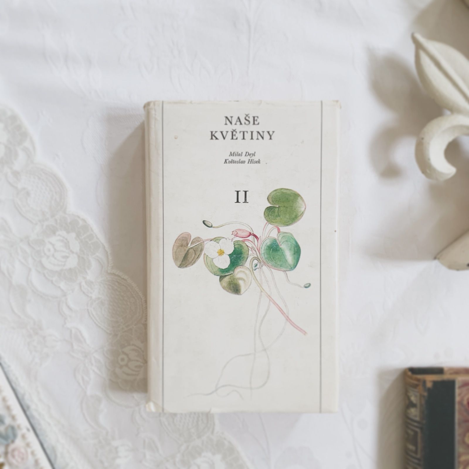 チェコ印刷ビンテージ植物図鑑 - 私たちの花-Naše květinyボタニカル