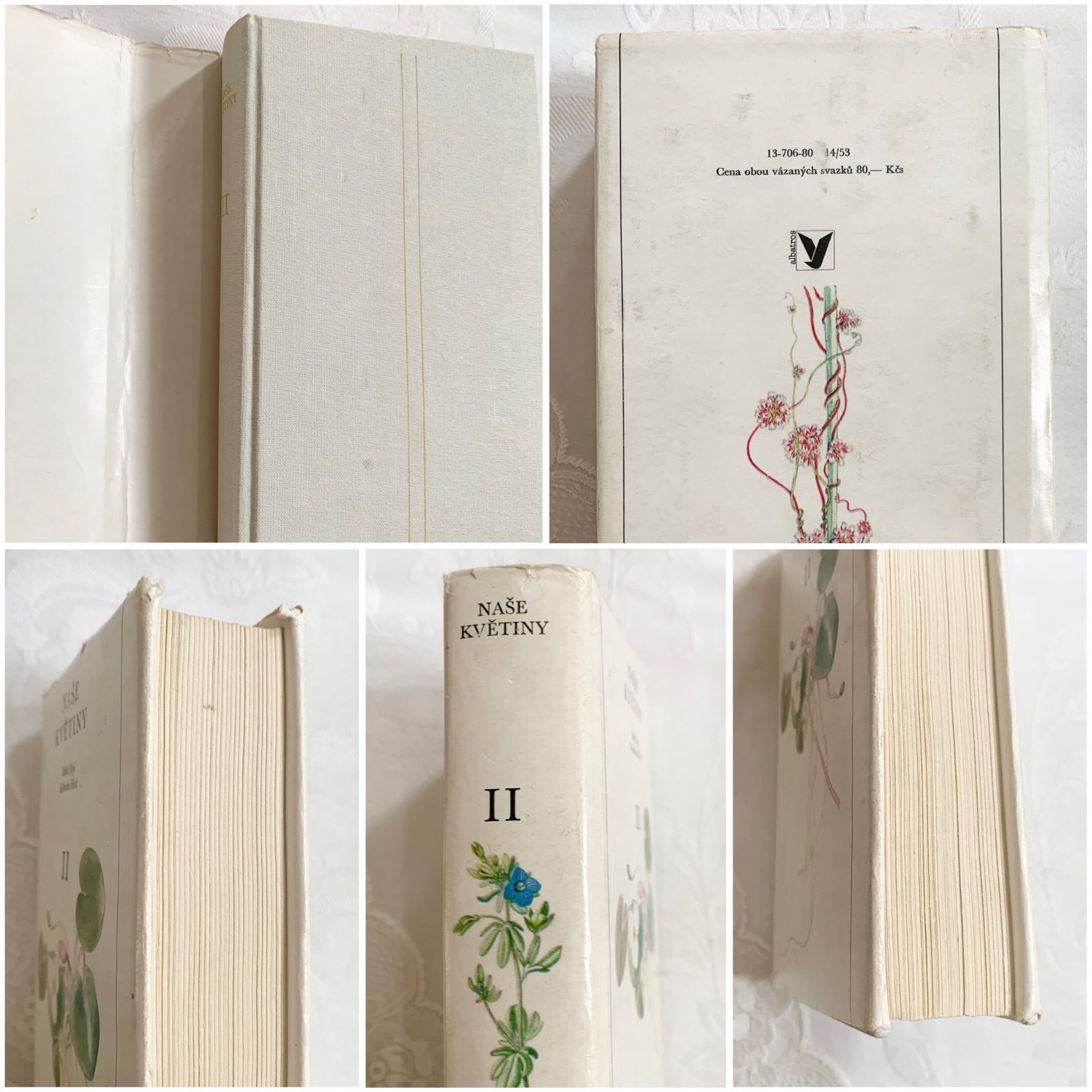 チェコ印刷ビンテージ植物図鑑 - 私たちの花-Naše květinyボタニカル