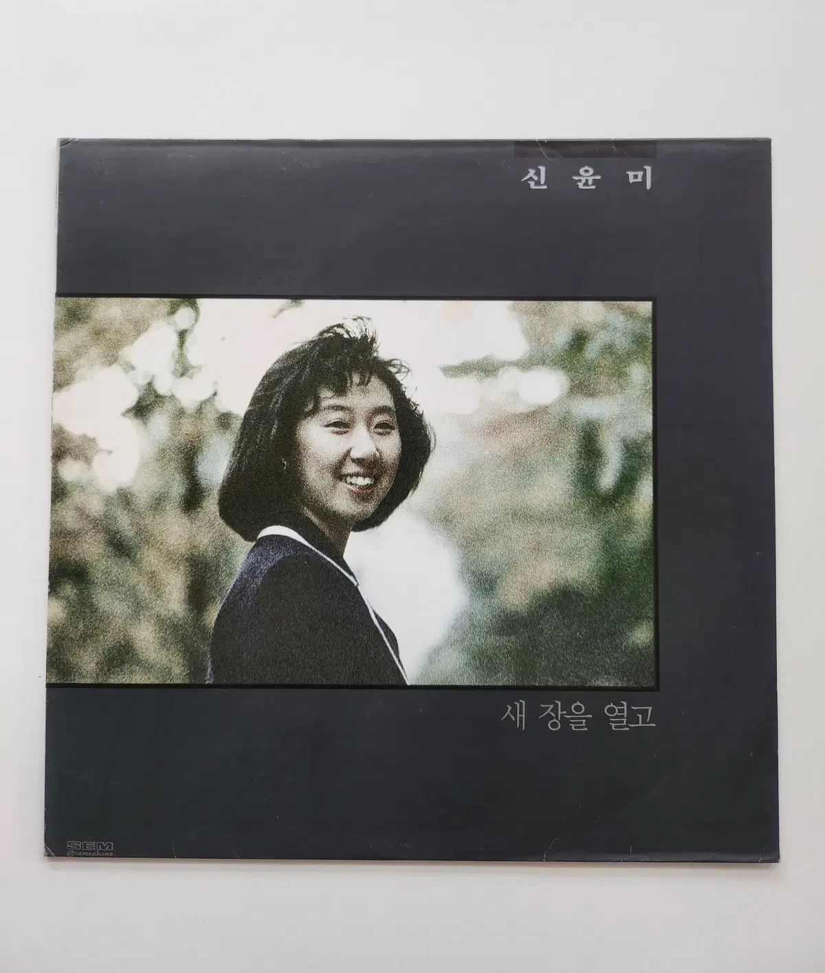 シン・ユンミ 1 家 LP ／ NM