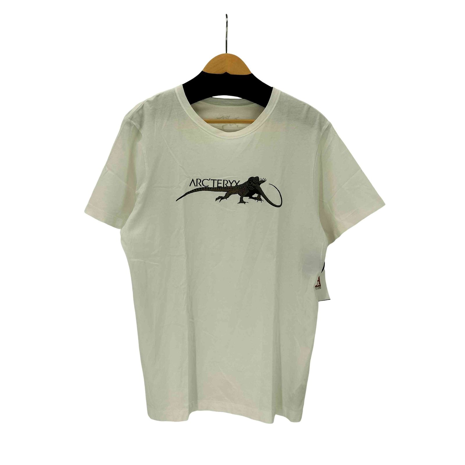 アークテリクス ARCTERYX LIZARD EAT LIZARD T-SHIRT SS MEN'S