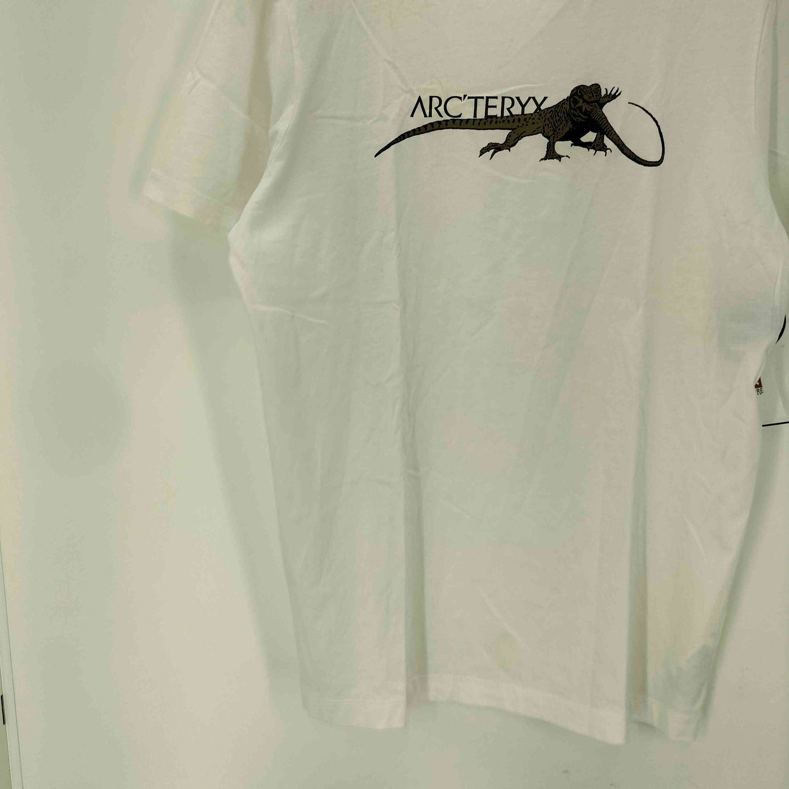 アークテリクス ARCTERYX LIZARD EAT LIZARD T-SHIRT SS MEN'S