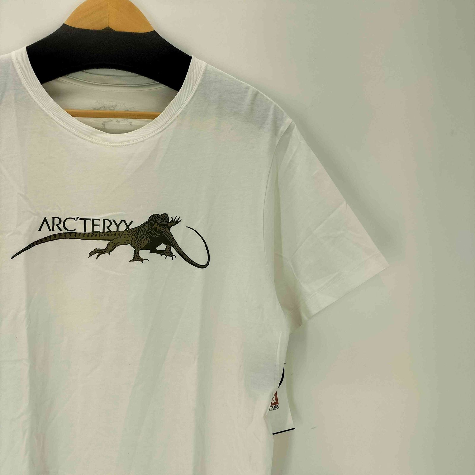 アークテリクス ARCTERYX LIZARD EAT LIZARD T-SHIRT SS MEN'S