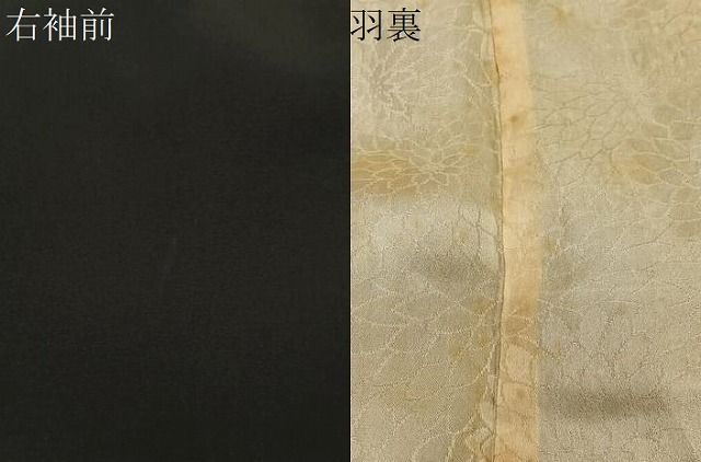 平和屋着物#羽織 寿光織 草木文 黒地 正絹 逸品 CABE5183ua 平和屋着物#羽織 寿光織 草木文 黒地 正絹 逸品 CABE5183ua