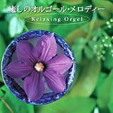 【CD】癒しのオルゴール・メロディー〈α波オルゴール〉