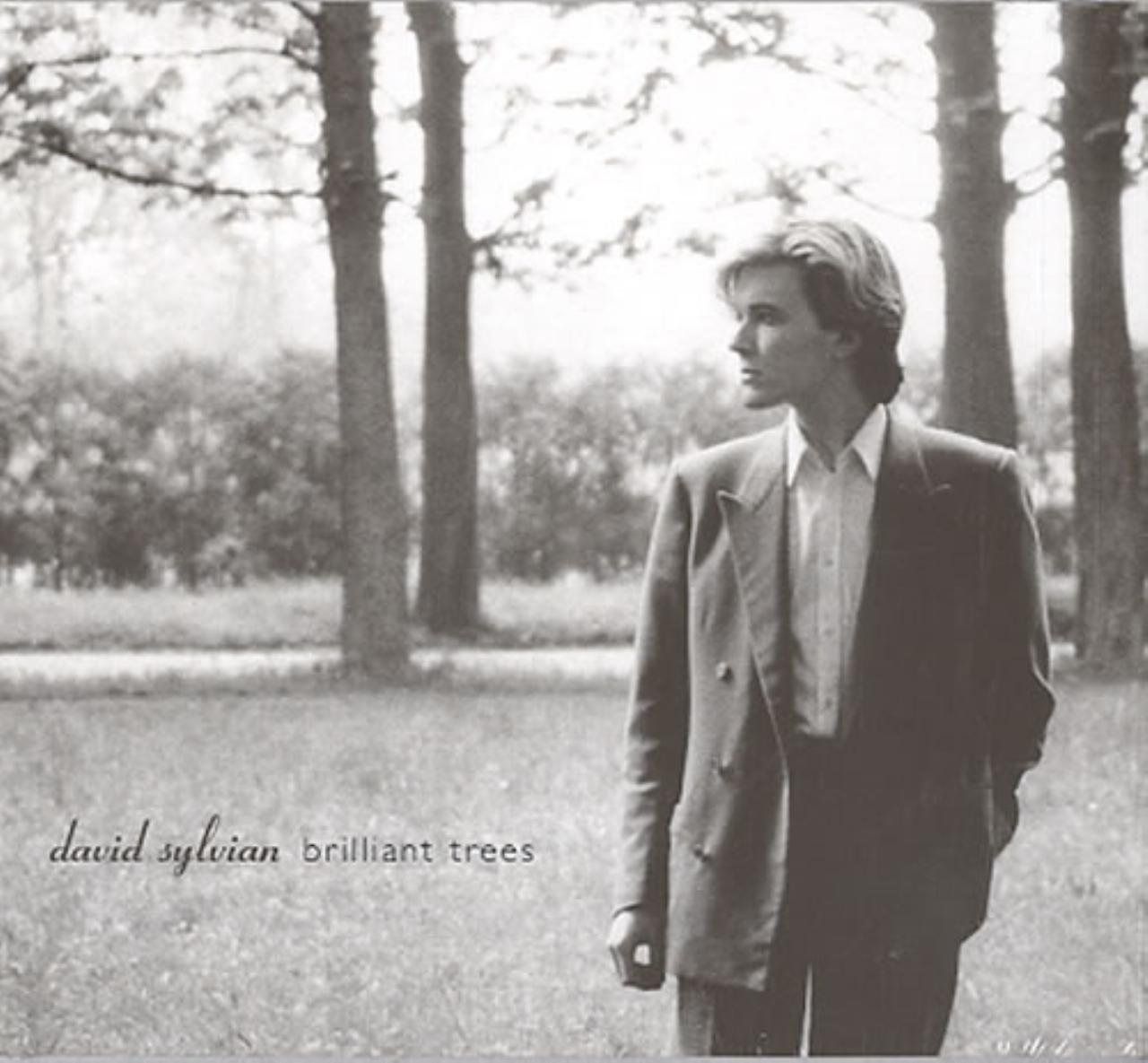 【CD】Brilliant Tree (Rmst) (Dlx)