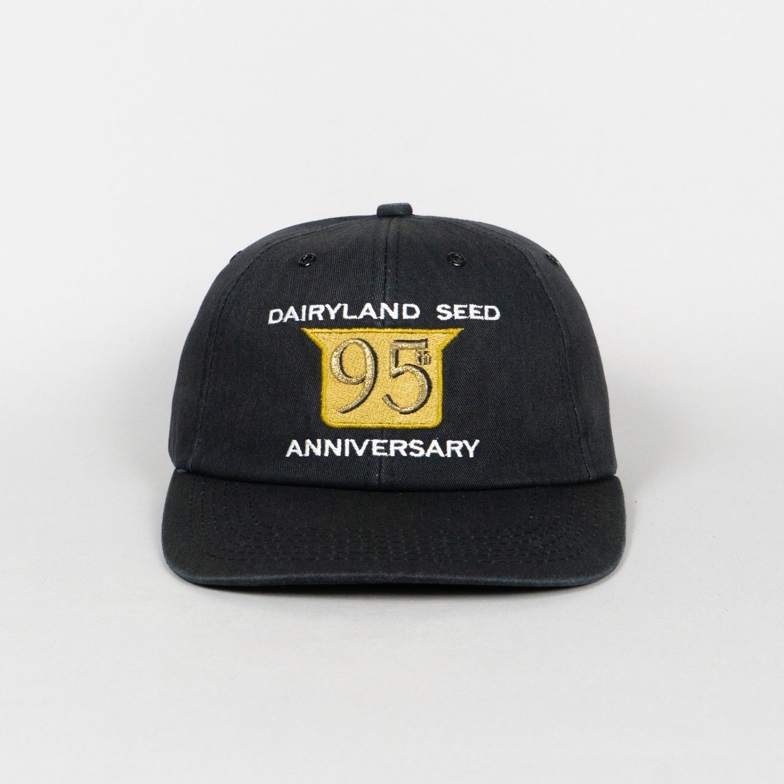 Dairyland Seed Vintage Cap ヴィンテージ キャップ トラッカーキャップ スナップバック ビンテージ 古着