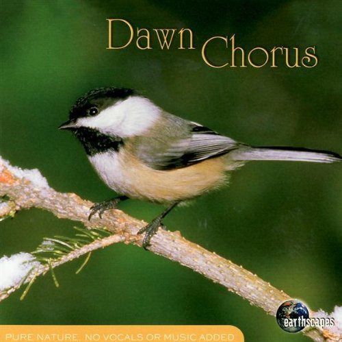 【CD】Dawn Chorus