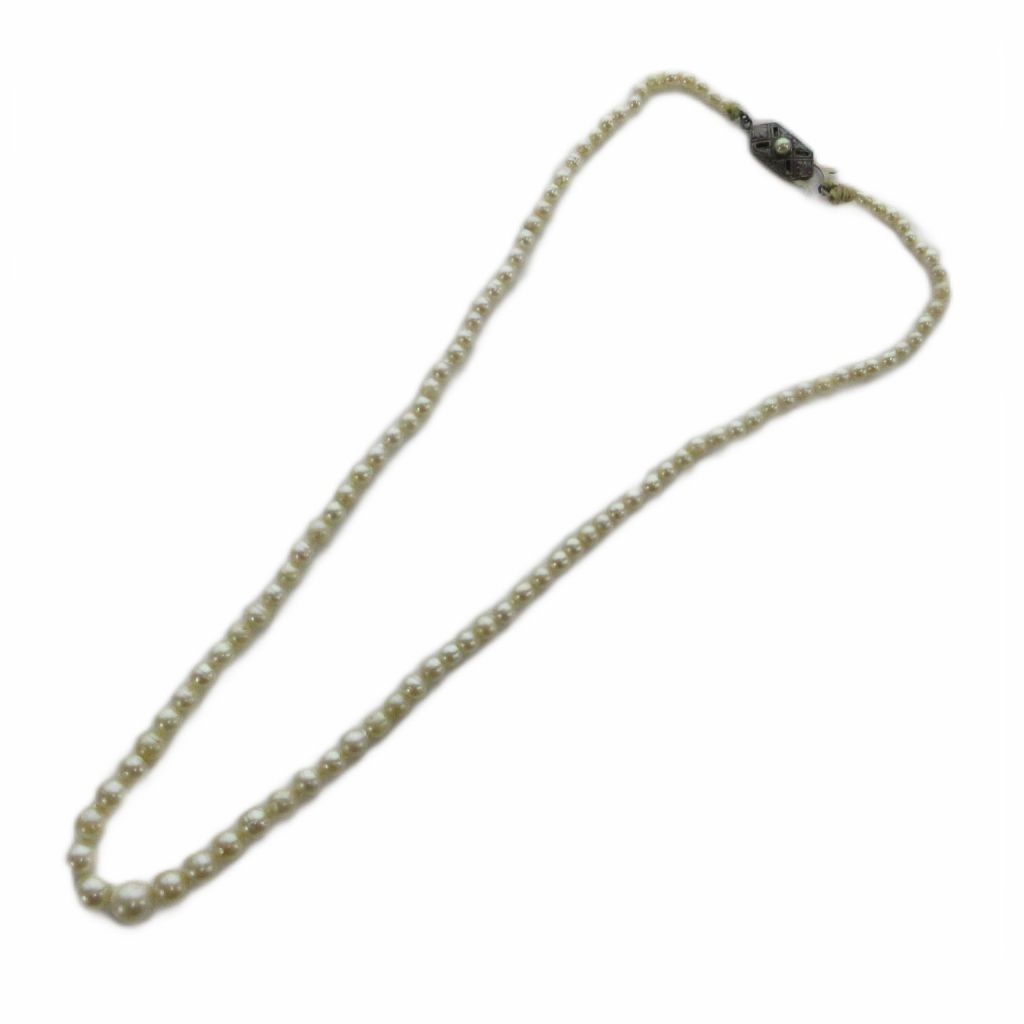 ノーブランド品 ネックレス アクセサリー パール 真珠 2mm 白 ホワイト ■GY11 /MQ