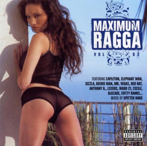 【CD】Maximum Ragga Vol.2