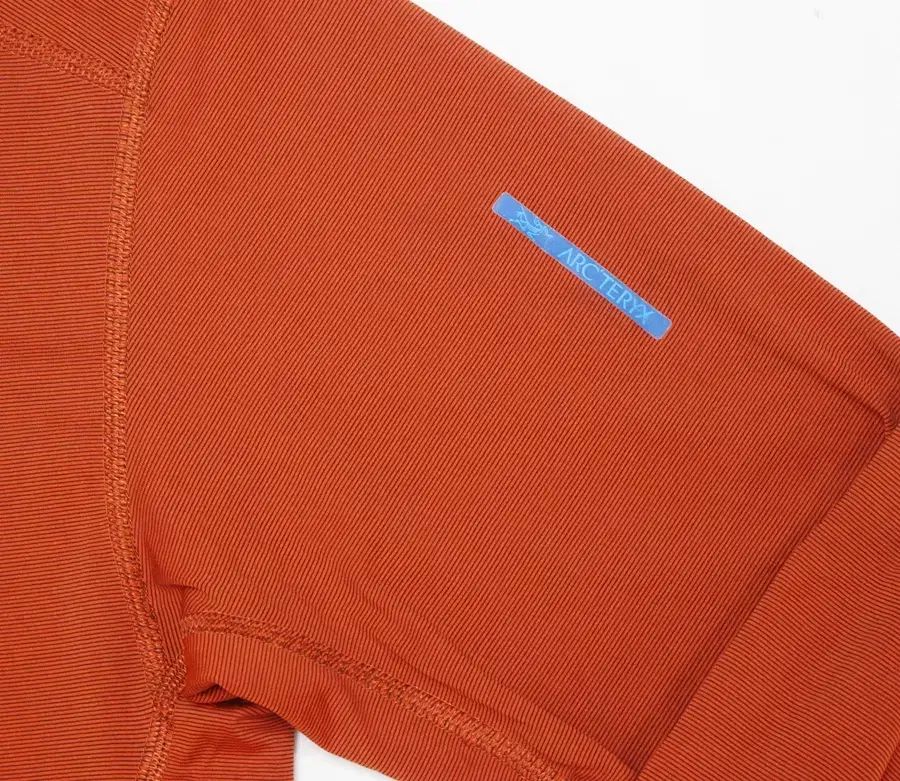 ARC'TERYX アークテリクス メンズ S 95 ストレッチ 薄い 長袖 Tシャツ クリーン/L02