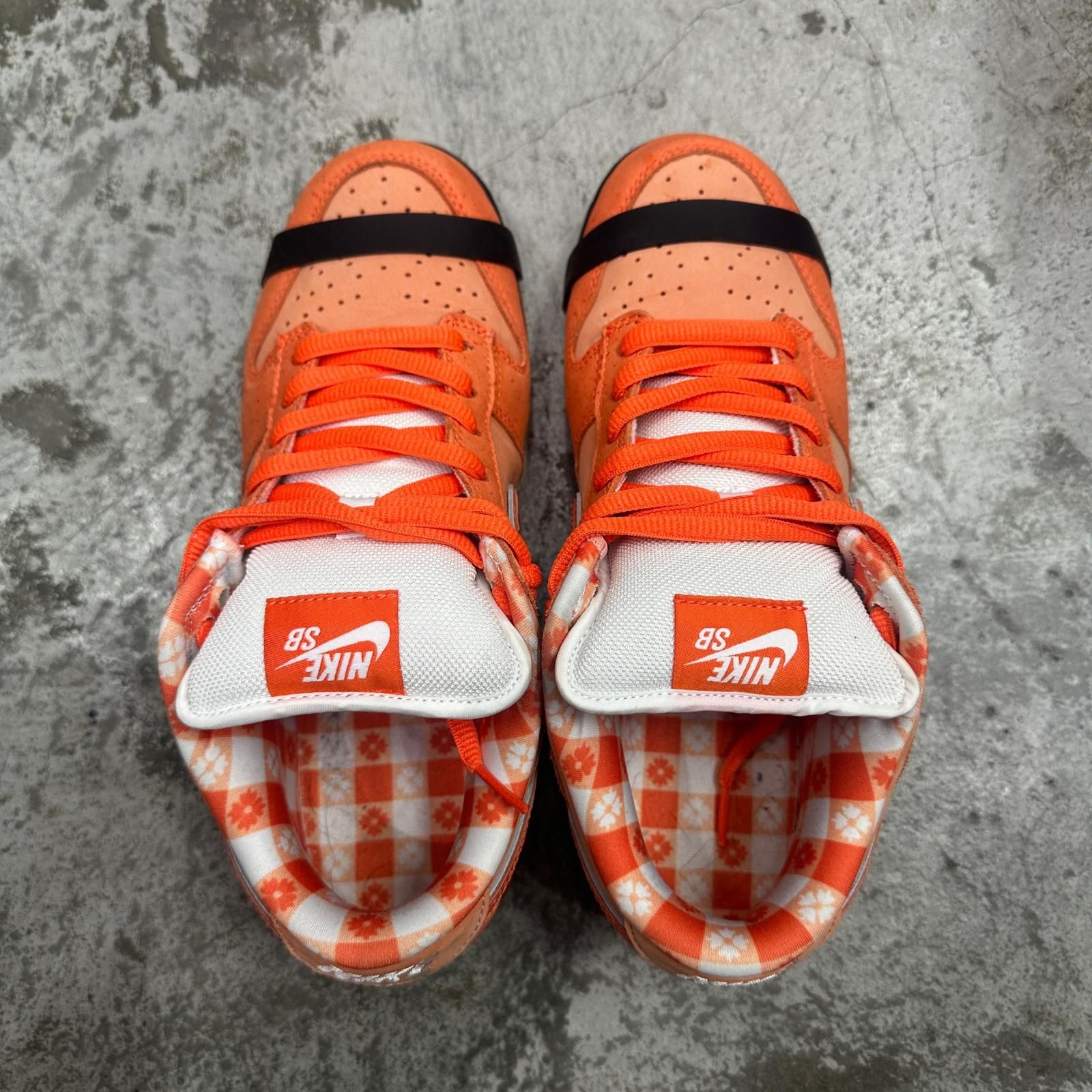 NIKE SB × Concepts Dunk Low SP 