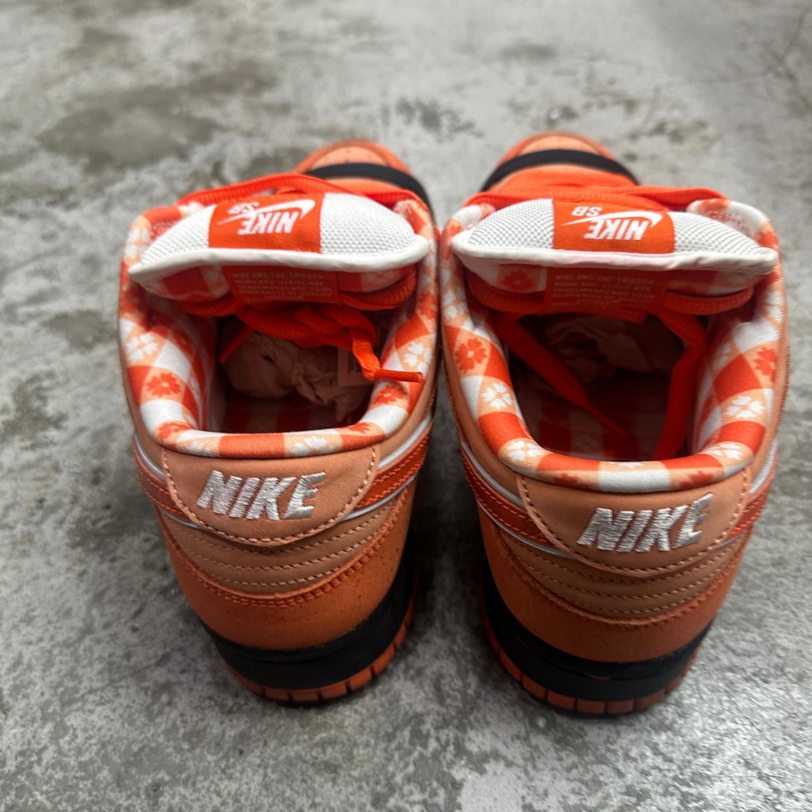 NIKE SB × Concepts Dunk Low SP 