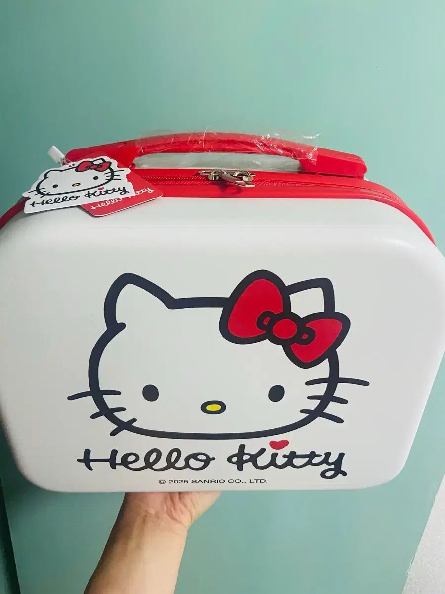 新品 サンリオ ミニキャリーケース ハローキティ