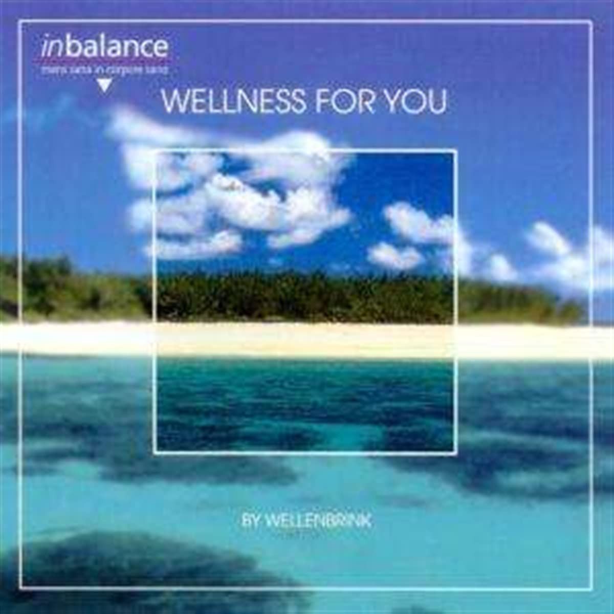 【CD】Wellness for You 8,168円