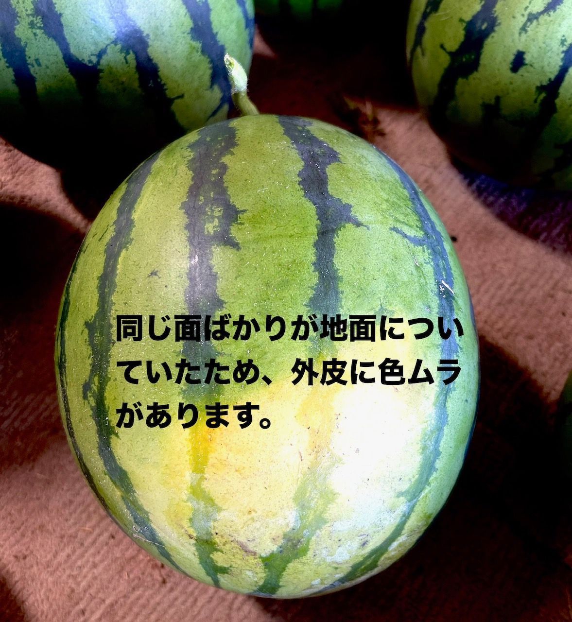 訳あり】熊本産 羅皇ザ・スウィート 大玉スイカ 7-8kg - メルカリ