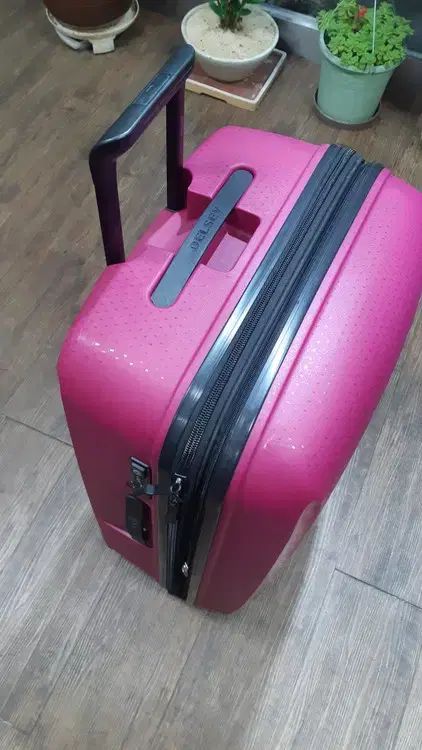 デルセー 旅行用かばん（キャリアー）