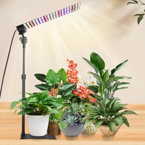 JCBritw 100W植物育成ライトLED フルスペクトル デイジーチェーン機能付き、90度レンズ植物ライト 屋内植物用 多肉植物育成 観葉植物 水耕栽培用ライト 野菜工場 植物栽培工場 家庭菜園 室内園芸as 74808ca9