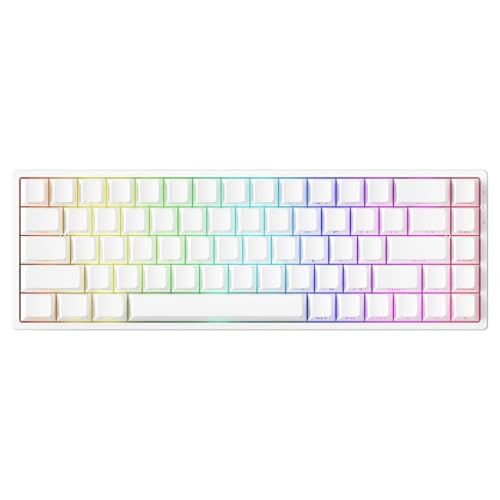 【新品】MonsGeek(モンスギーク) FUN68 HE 0.005mm ラピッドトリガー 65%英語配列 有線モデル 磁気スイッチ Akko Glare Magnetic Switch テンキーレス ホットスワップ サイドプリント ダブル 163203ba