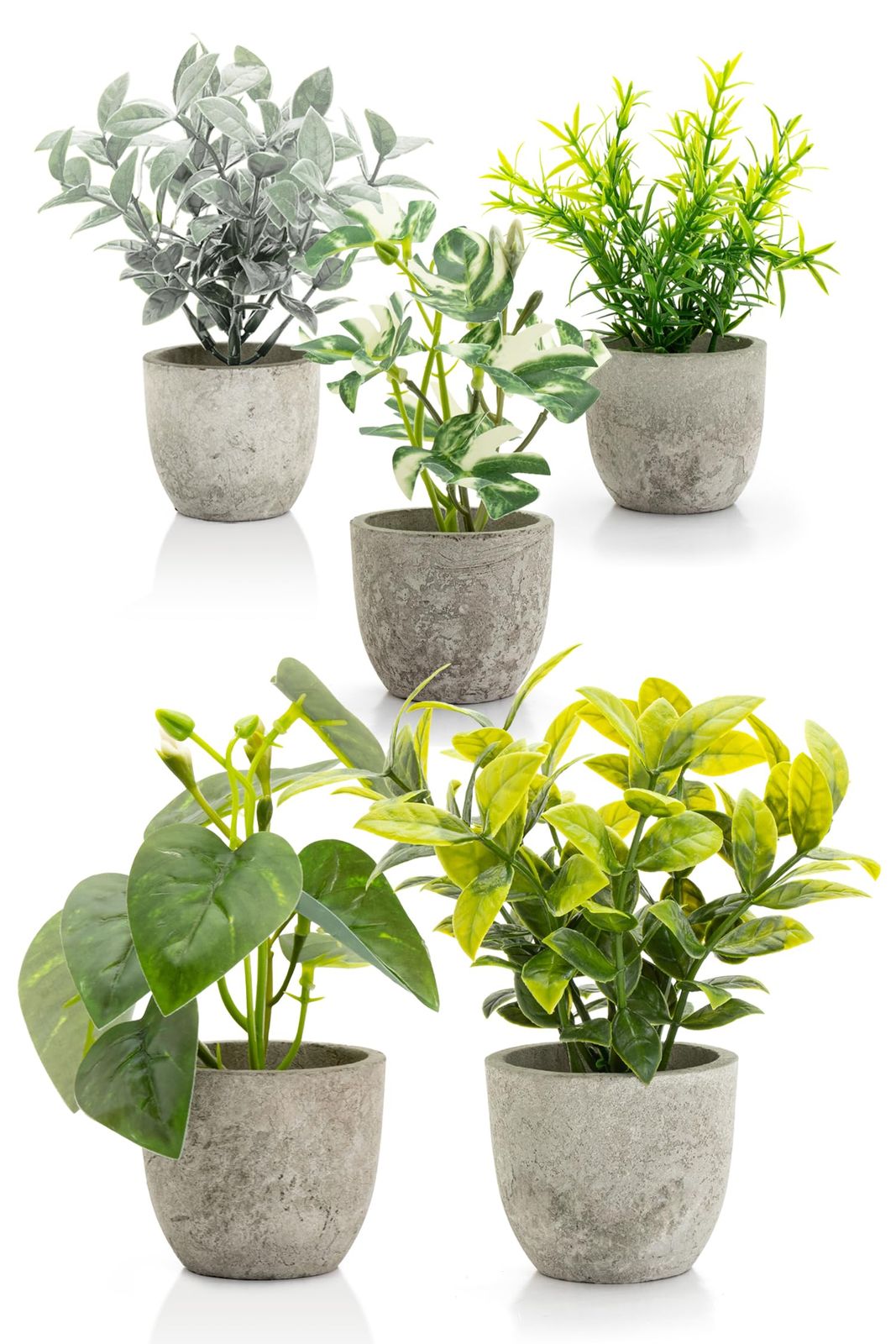 October1st フェイクグリーン 観葉植物 人工 5点セット 卓上用 光触媒加工 造花 インテリア 小物 ミニ indoor plants 人工植物 fake plant おしゃれ 緑 水やり不要 贈り物 ギフト 母の日 父の日 プレゼ 0ea8e410