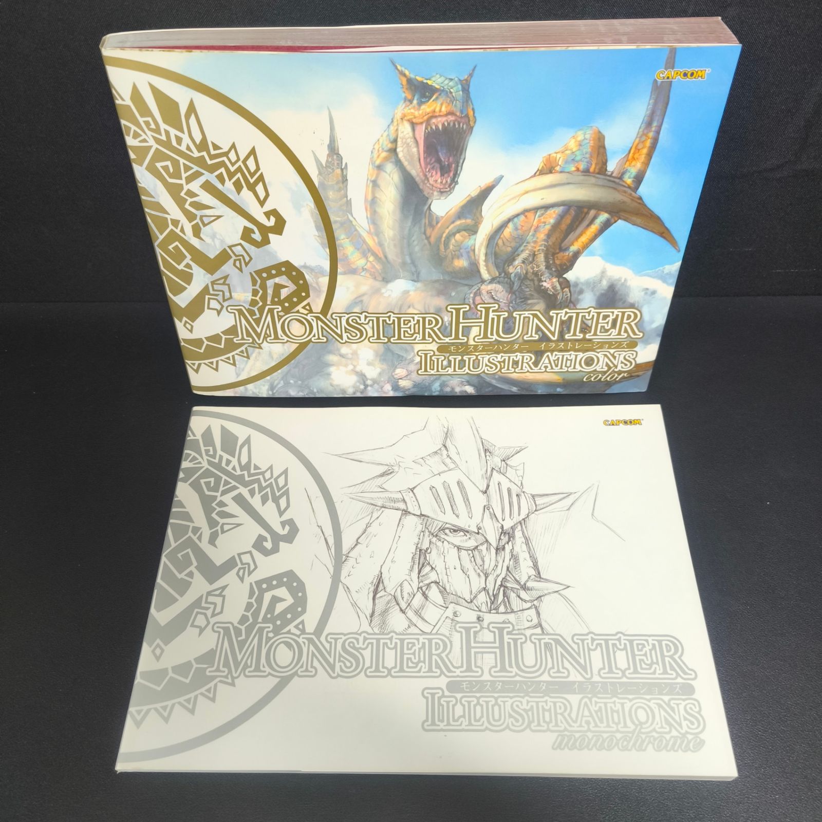 モンスターハンター イラストレーションズ III Illustrations