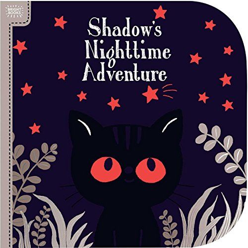 Bright Books: Shadow's Nighttime Adventure／Megan Roth