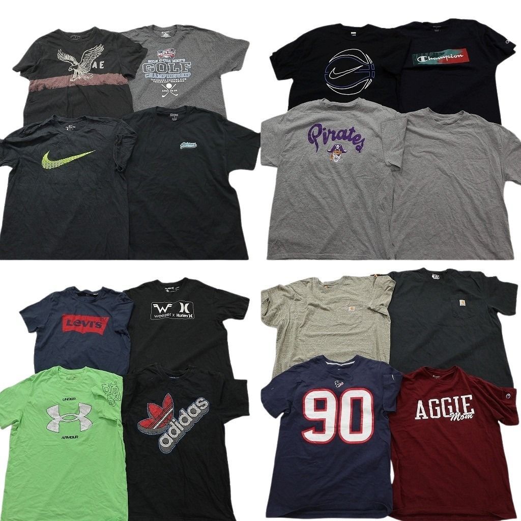 古着卸 まとめ売り ブランドMIX Tシャツ 16枚セット ( メンズ L/XL ) カーハート ディッキーズ チャンピオン ナイキ 中古 古着 NE8663