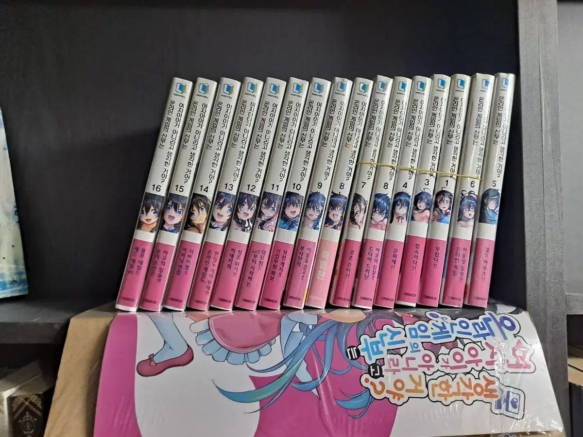 オンラインゲームの花嫁 1 3 16 ラノベ特別版含む 全16巻 中古小説