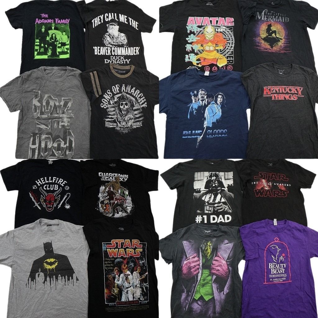古着卸 まとめ売り 映画・ドラマ Tシャツ 16枚セット ( メンズ S/M ) ボーイズンザフット アダムスファミリー スターウォーズ 中古 NE8819