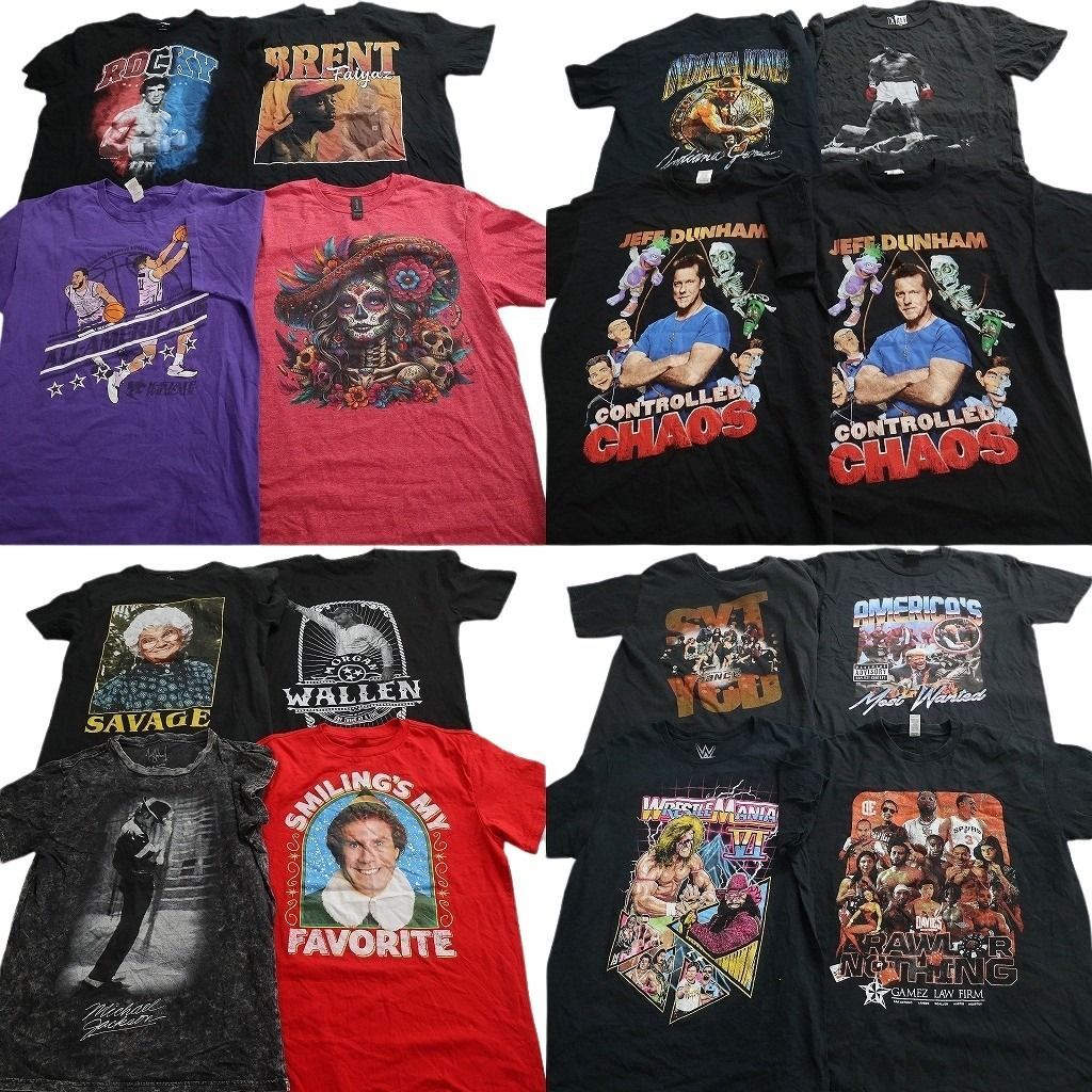 古着卸 まとめ売り 人物 Tシャツ 16枚セット ( メンズ M ) モハメドアリ エルフ マイケルジャクソン 映画 中古 古着 NE8824
