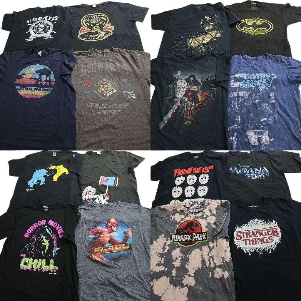古着卸 まとめ売り キャラクター Tシャツ 16枚セット ( メンズ L ) ハリーポッター ホラー ストレンジャーシングス 中古 古着 NE8838 15,705円