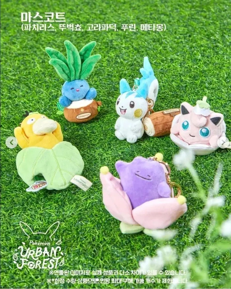 シークレットフォレスト 韓国 アーバンフォレスト ポケモン モクロー