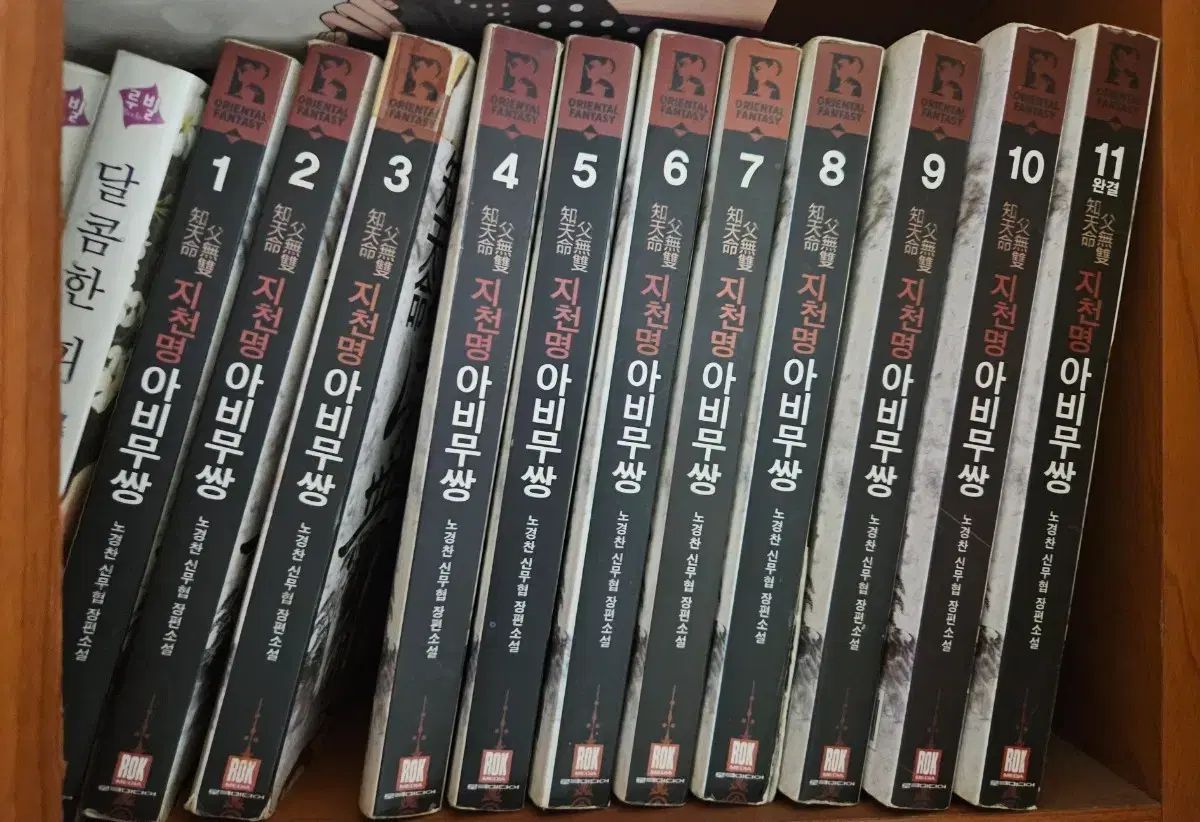 地天命父無双1-11完