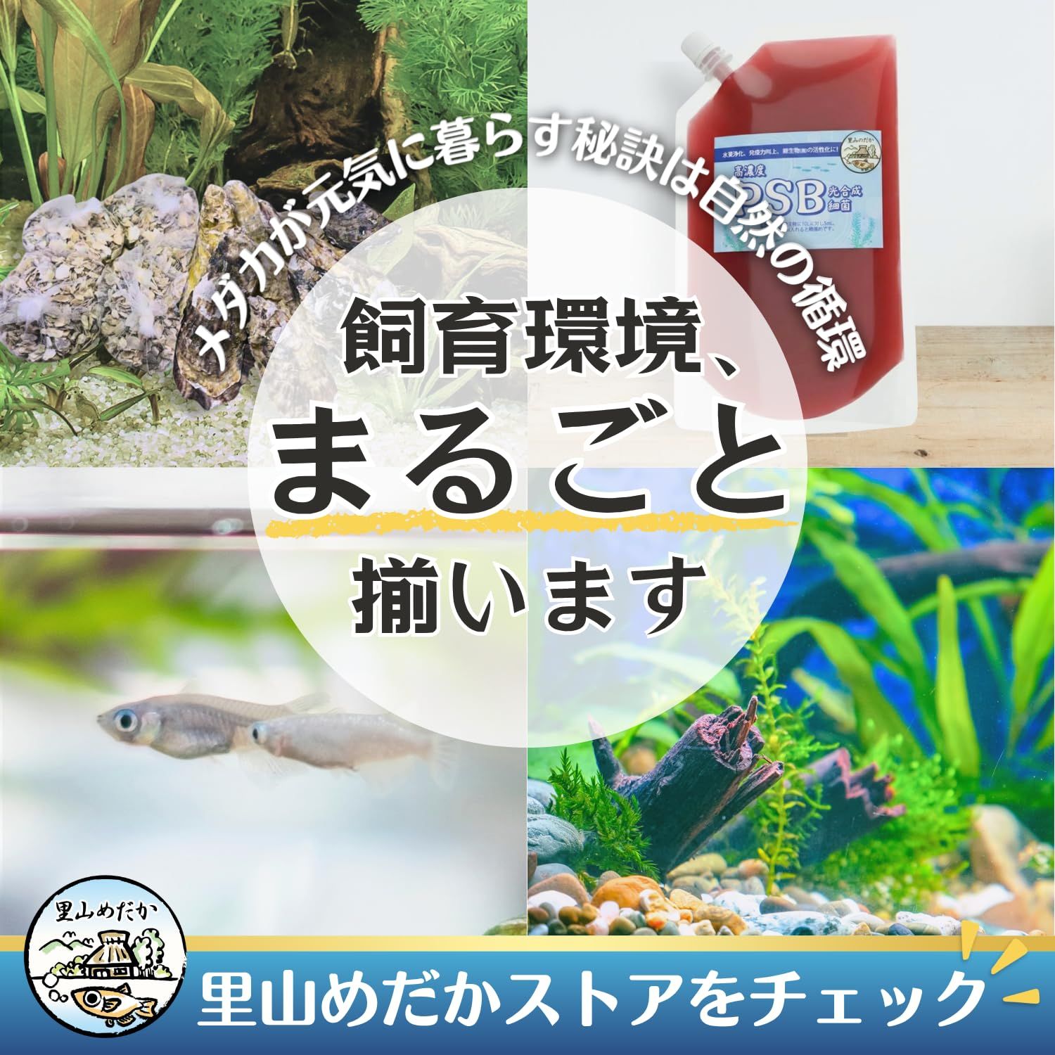 広島県産 牡蠣殻 4〜8mm 80g×100袋 アクアリウム 水質調整 めだか 広島県産 牡蠣殻 4〜8mm 80g×100袋 アクアリウム 水質調整 めだか