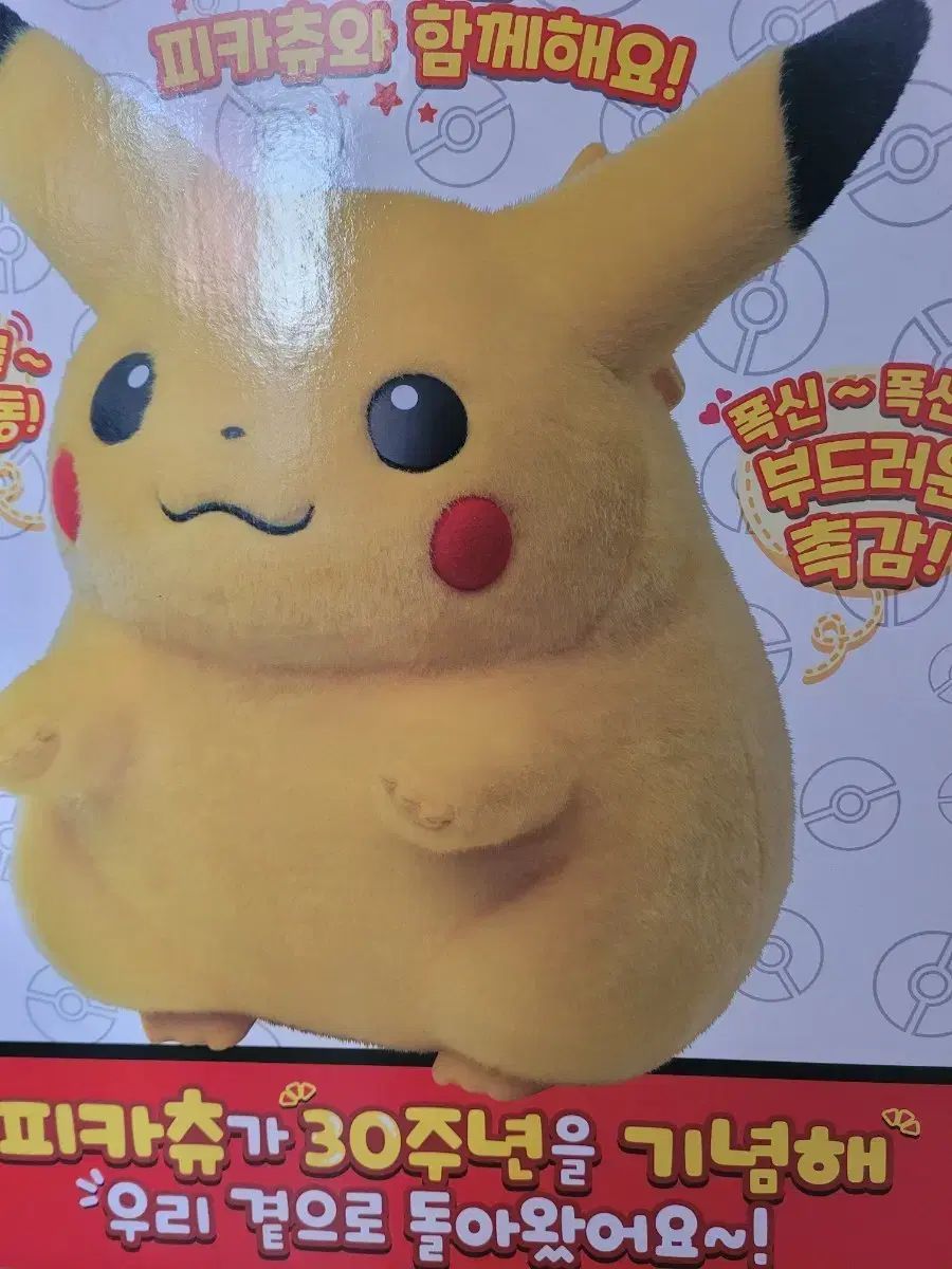 ピカチュウ 30周年 ぬいぐるみ
