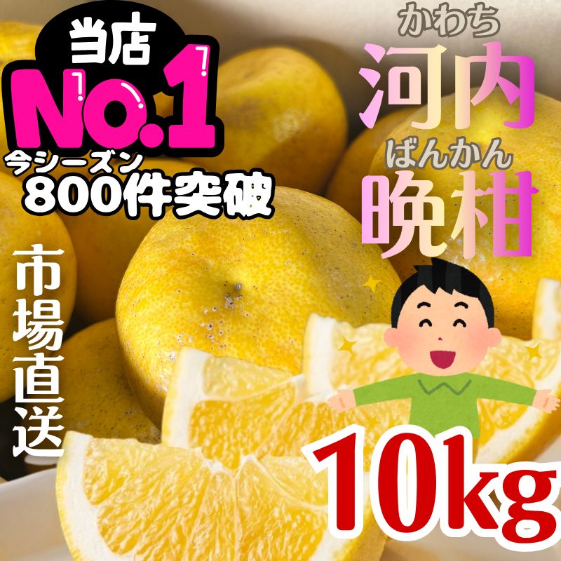 熊本県産　河内晩柑　大玉　訳有り　　10Kg 　 コメント用 訳あり】熊本産 河内晩柑 約10kg クール便 - メルカリ