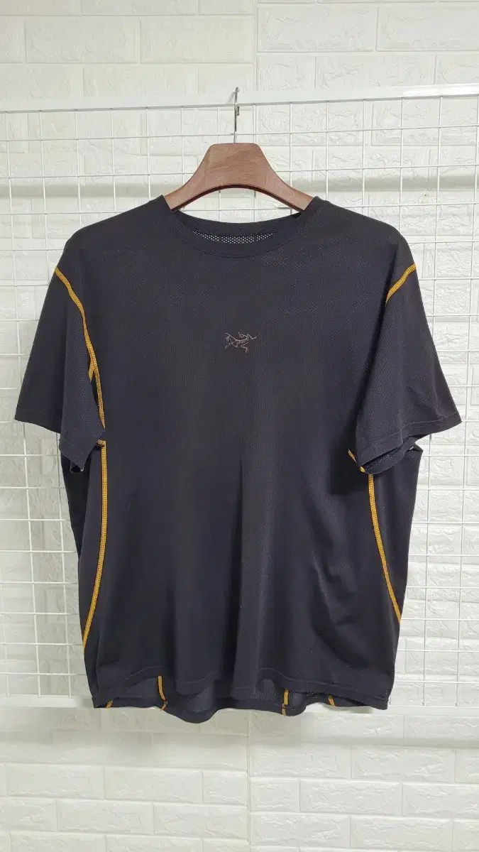 L ARC'TERYX アークテリクス ジャパニーズ ミニバード ロゴ メッシュ テクニカル半袖Tシャツ L