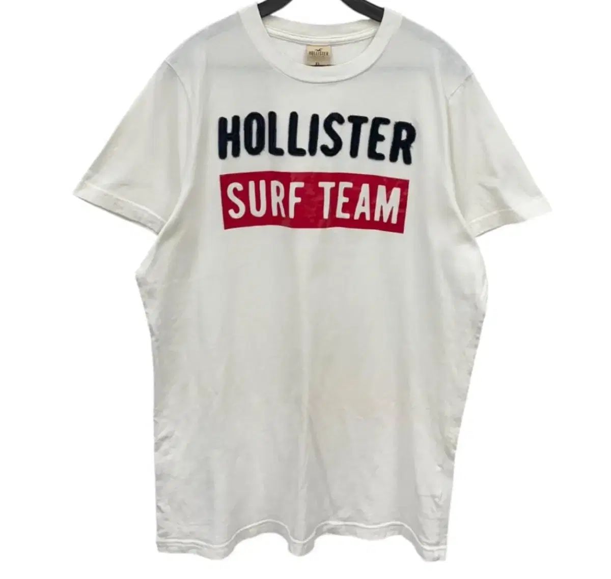 ホリスター 半袖Tシャツ L