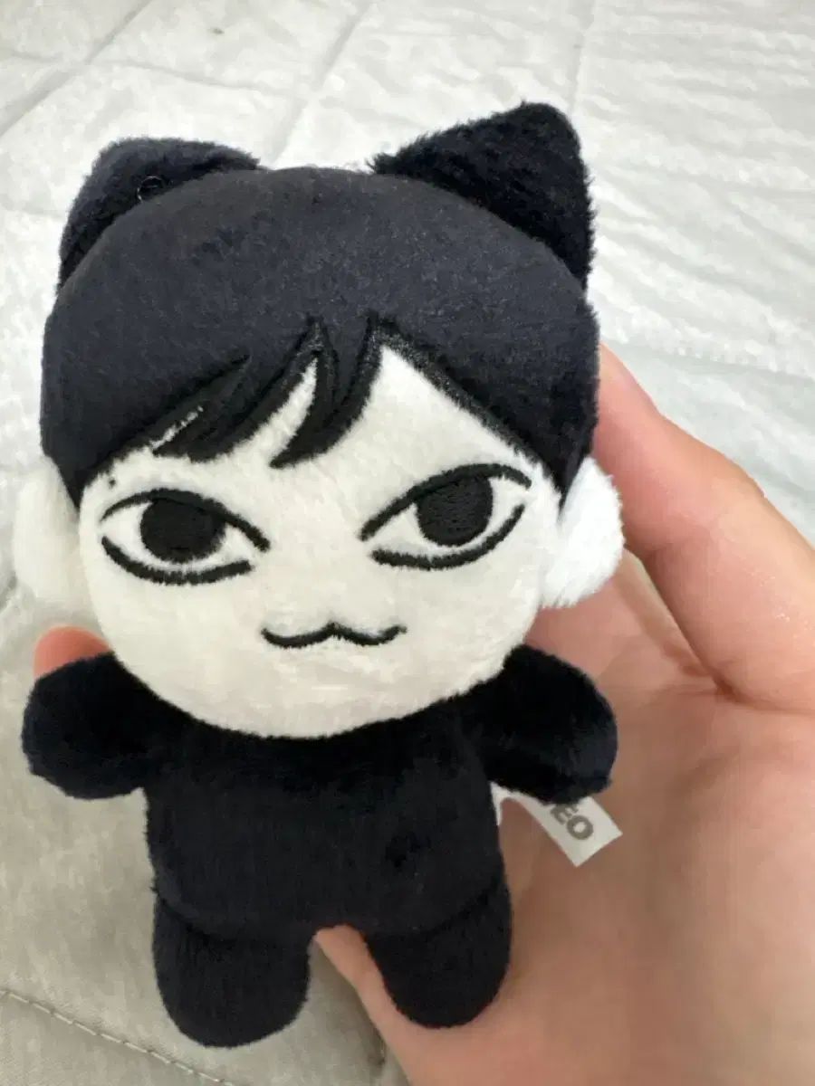 THE BOYZ (ザ・ボーイズ・ドボイズ) ジュヨン (JUYEON) ぬいぐるみ