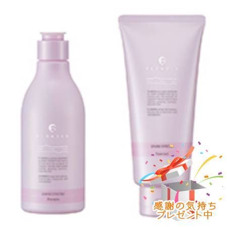 FLOWDIA フローディア シャンプー＆トリートメント グランストレッチ 250mL/200g プレゼント付