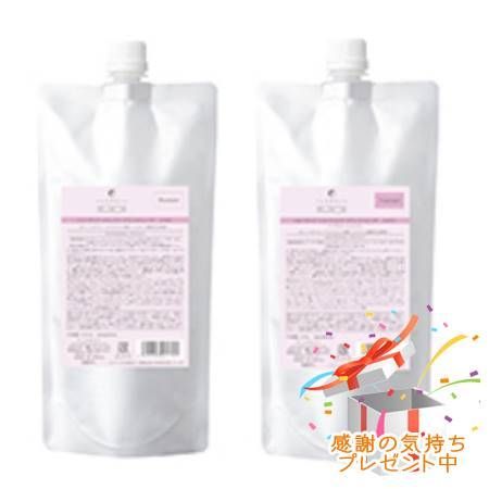 FLOWDIA フローディア シャンプー＆トリートメント グランストレッチ つめかえ用 450mL/450g プレゼント付