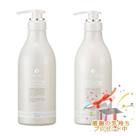 FLOWDIA フローディア シャンプー スプリングリフトa&トリートメント スプリングリフトb 550mL/500g プレゼント付